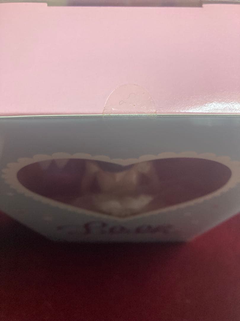 新品未開封　未使用品 オダニミユキ　チェリーちゃんbemybabycherry