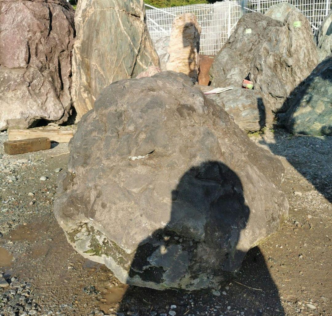 浅間溶岩石　514キロ　庭石　石　石材 庭　坪庭　ガーデニング