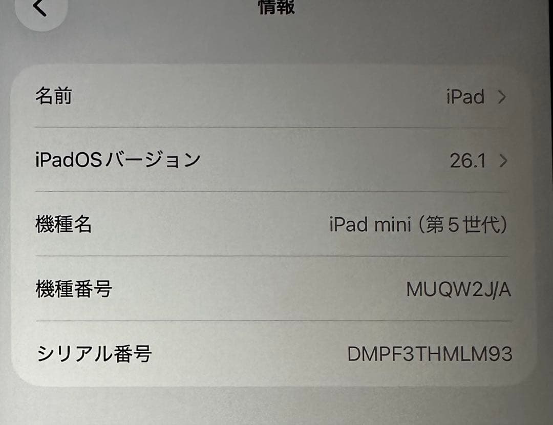 Apple iPad mini 第5世代 64GB A2133