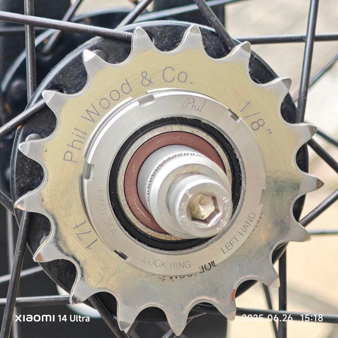 HED. BELGIUM × PHILWOOD HUB