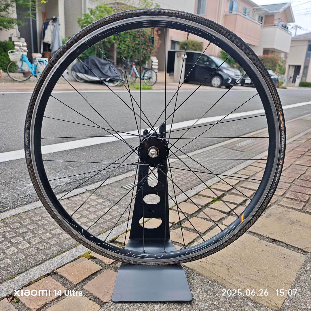 HED. BELGIUM × PHILWOOD HUB