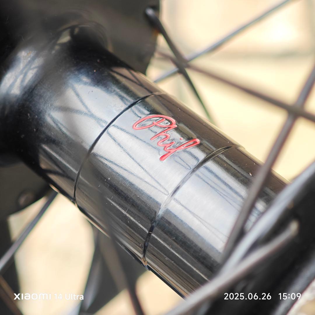 HED. BELGIUM × PHILWOOD HUB