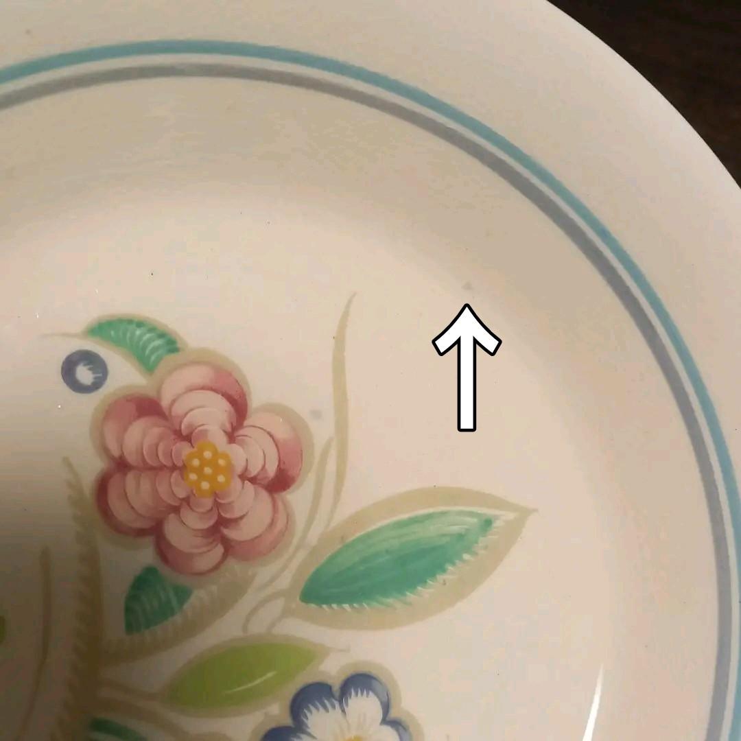 スージークーパー　ノーズゲイ　深皿