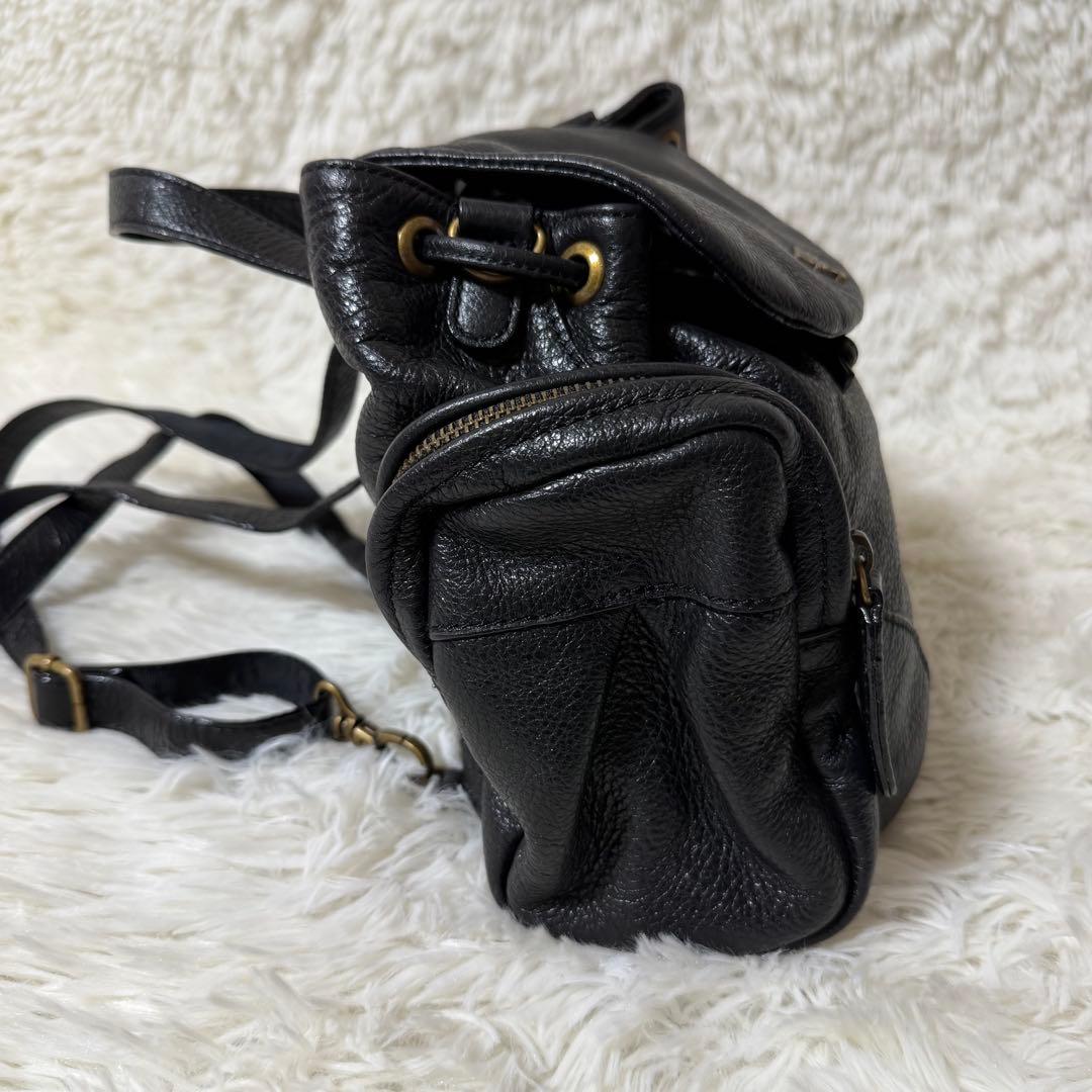 希少✨ANNA SUI ミニリュック レザー シボ革 メタルロゴ