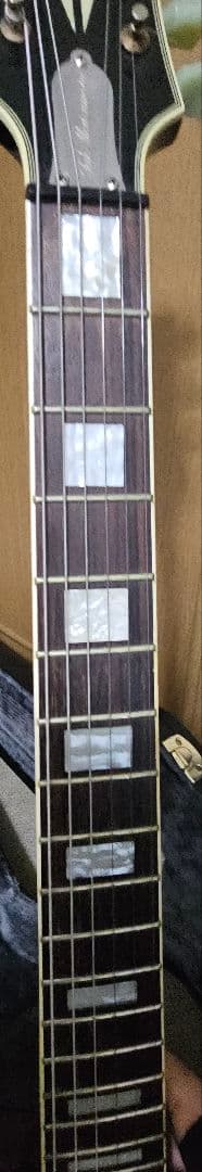 Epiphone TAK DC 松本孝弘　二万円ストラップ付き