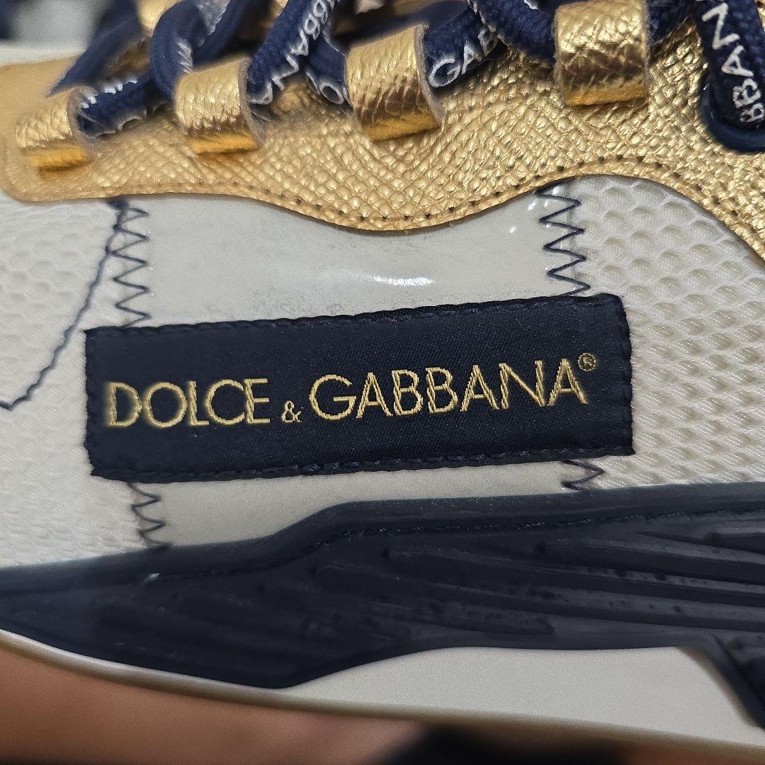 DOLCE & GABBANA スニーカー ホワイト/ゴールド/ネイビー