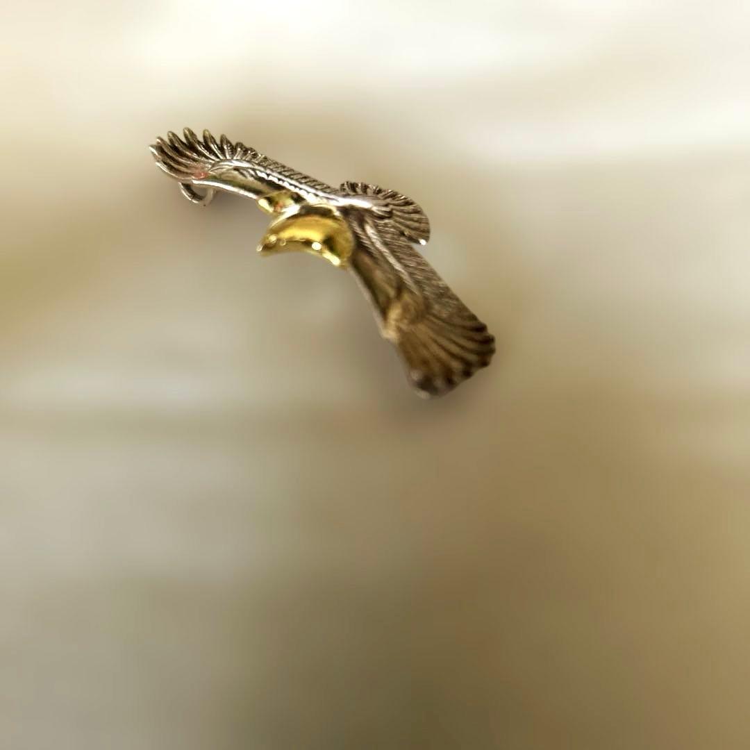 ウイングロック　WINGROCK wingrock 2Sイーグル