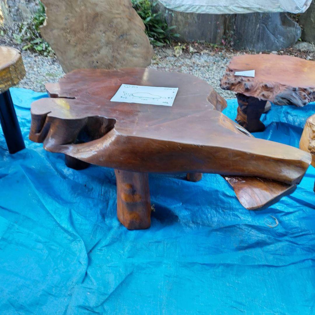 イチイ（一位）の切り株のちゃぶ台