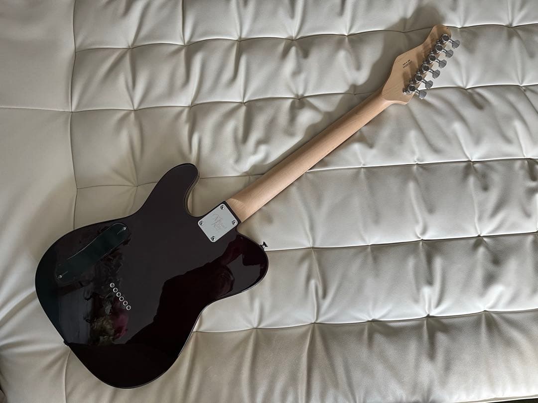 【美品】Michael Kerry Thinline 【ハードケース付き】