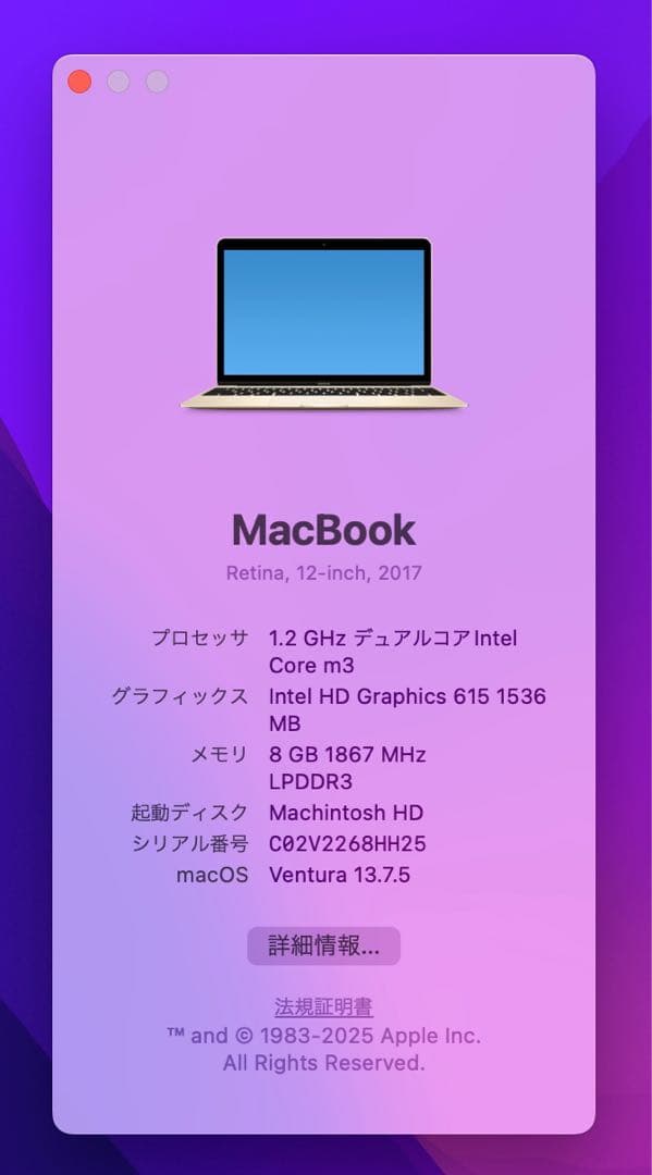 Apple MacBook 12インチ ゴールド（intel core m3）