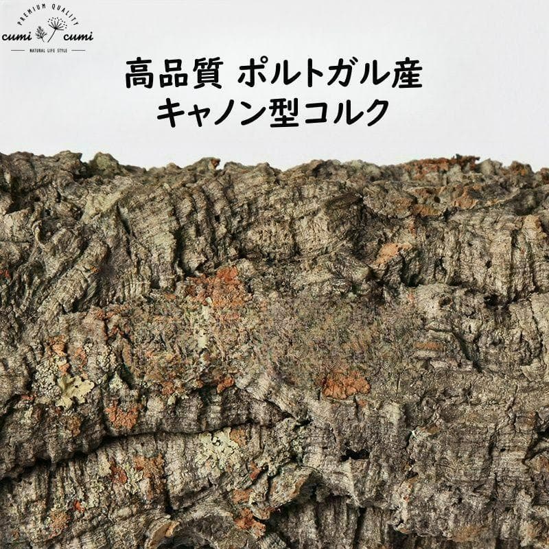260108 ポルトガル産 キャノンコルク コルク樹皮 コルク板　バージンコルク