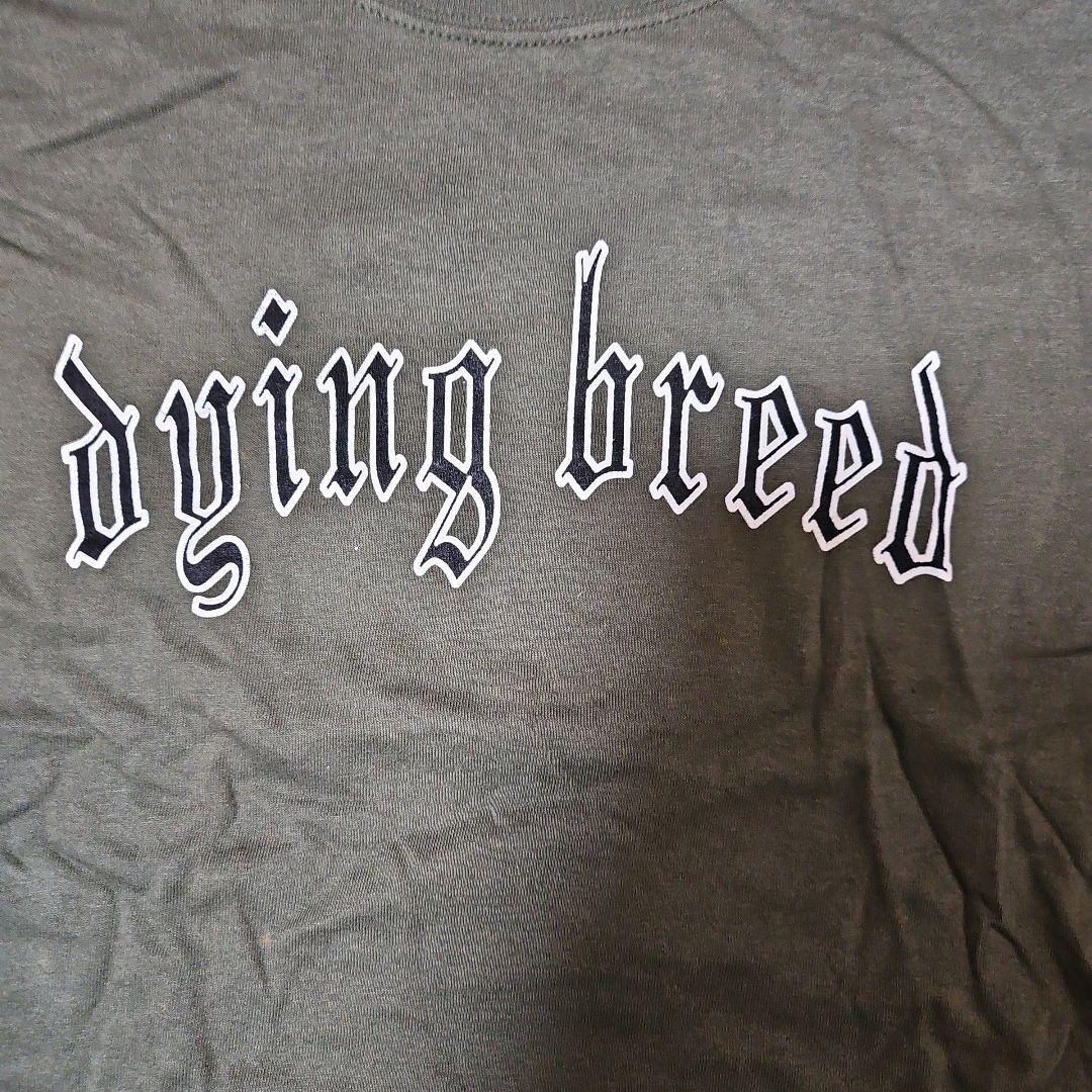 dying breed Tシャツ XL 未使用 HARD CORE 当時もの