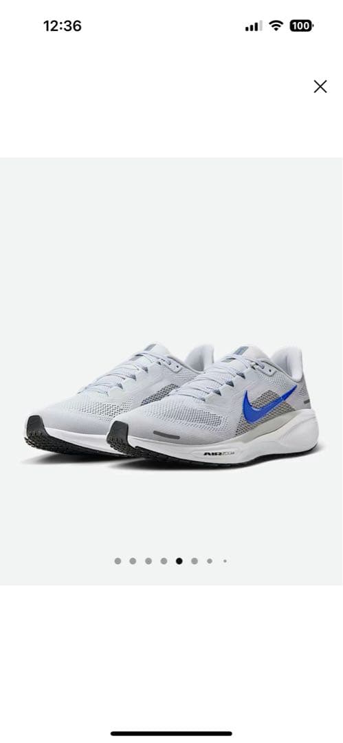 26cm ナイキ　ペガサス41