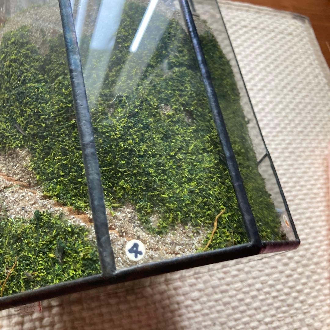 未使用　ゴーハウス　gaulthouse