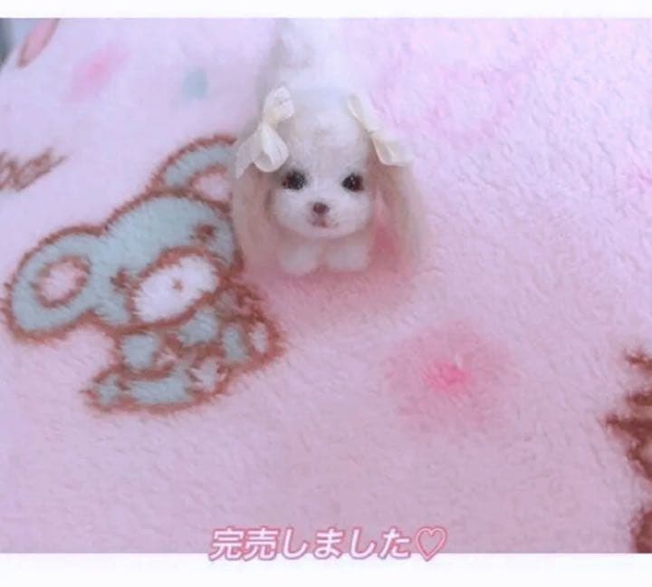 ミニミニトイプーちゃん達✨ご確認用
