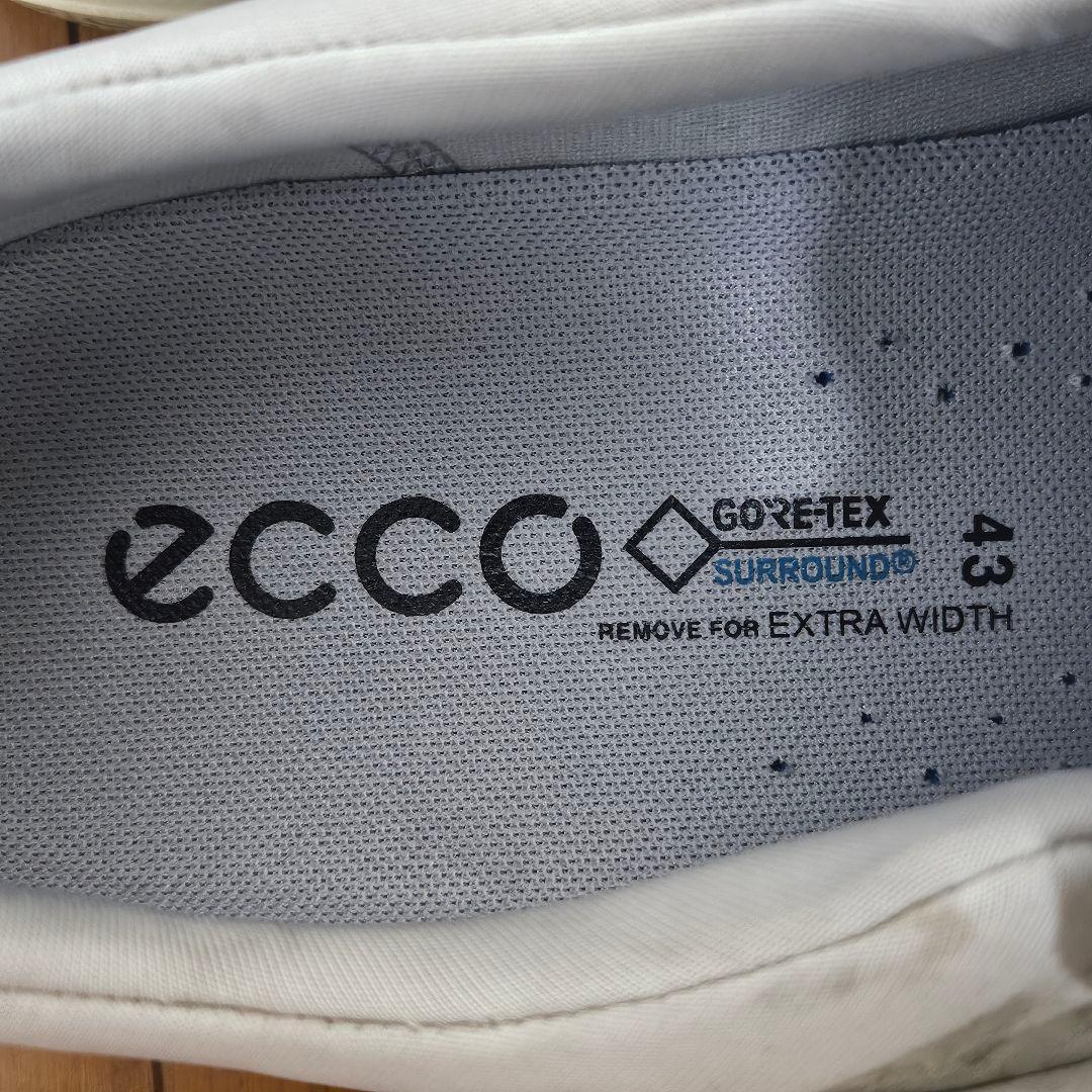 ecco BIOM COOL PRO BOA ゴルフシューズ GORE-TEX