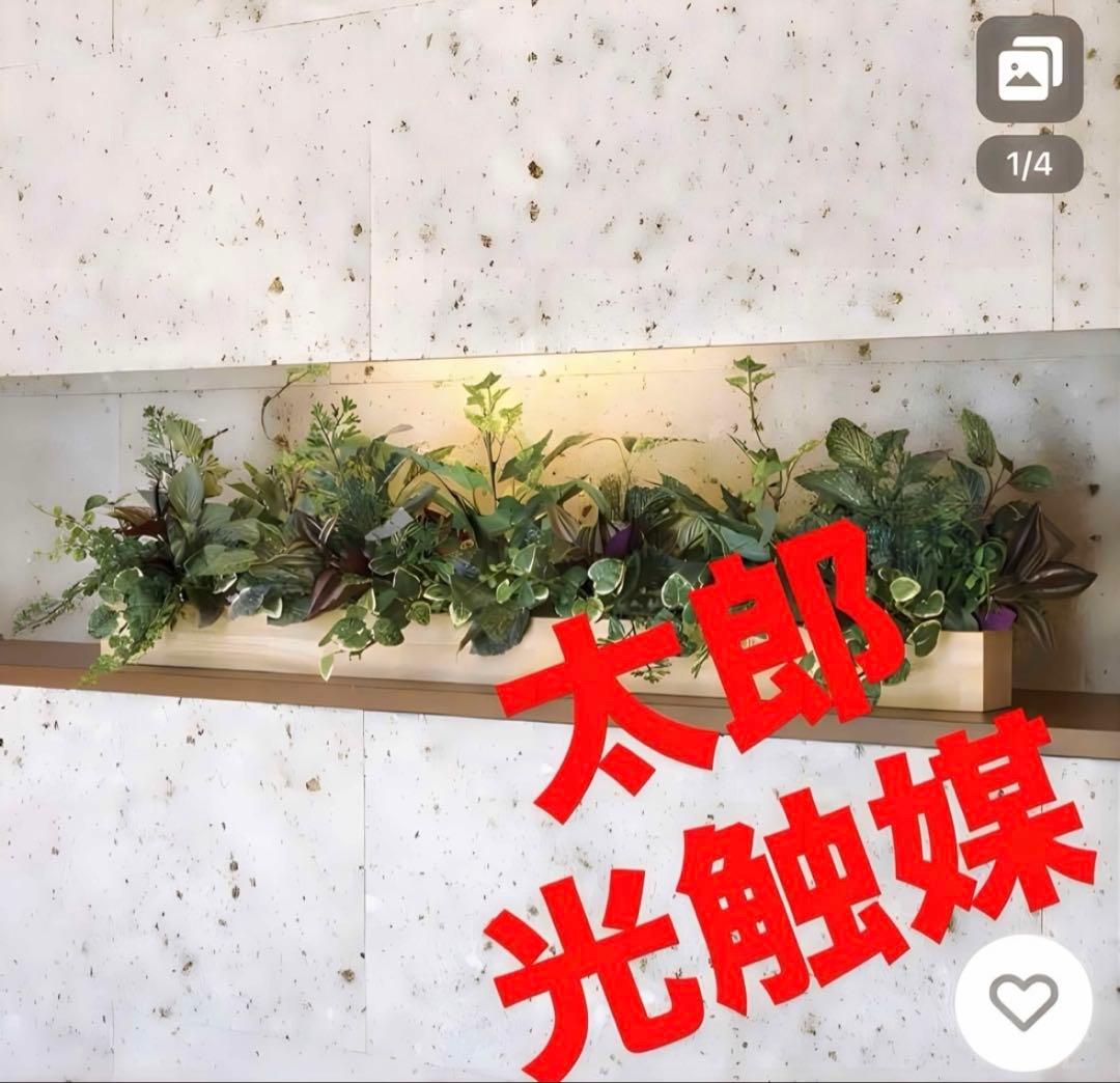 光触媒　人工観葉植物　ウォールグリーン　フェイクグリーン　ウッドボックスDXaj