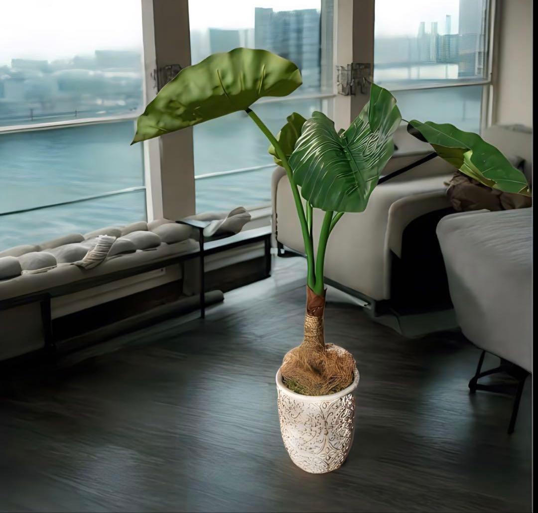 光触媒　人工観葉植物　ウォールグリーン　フェイクグリーン　クワズイモ7758