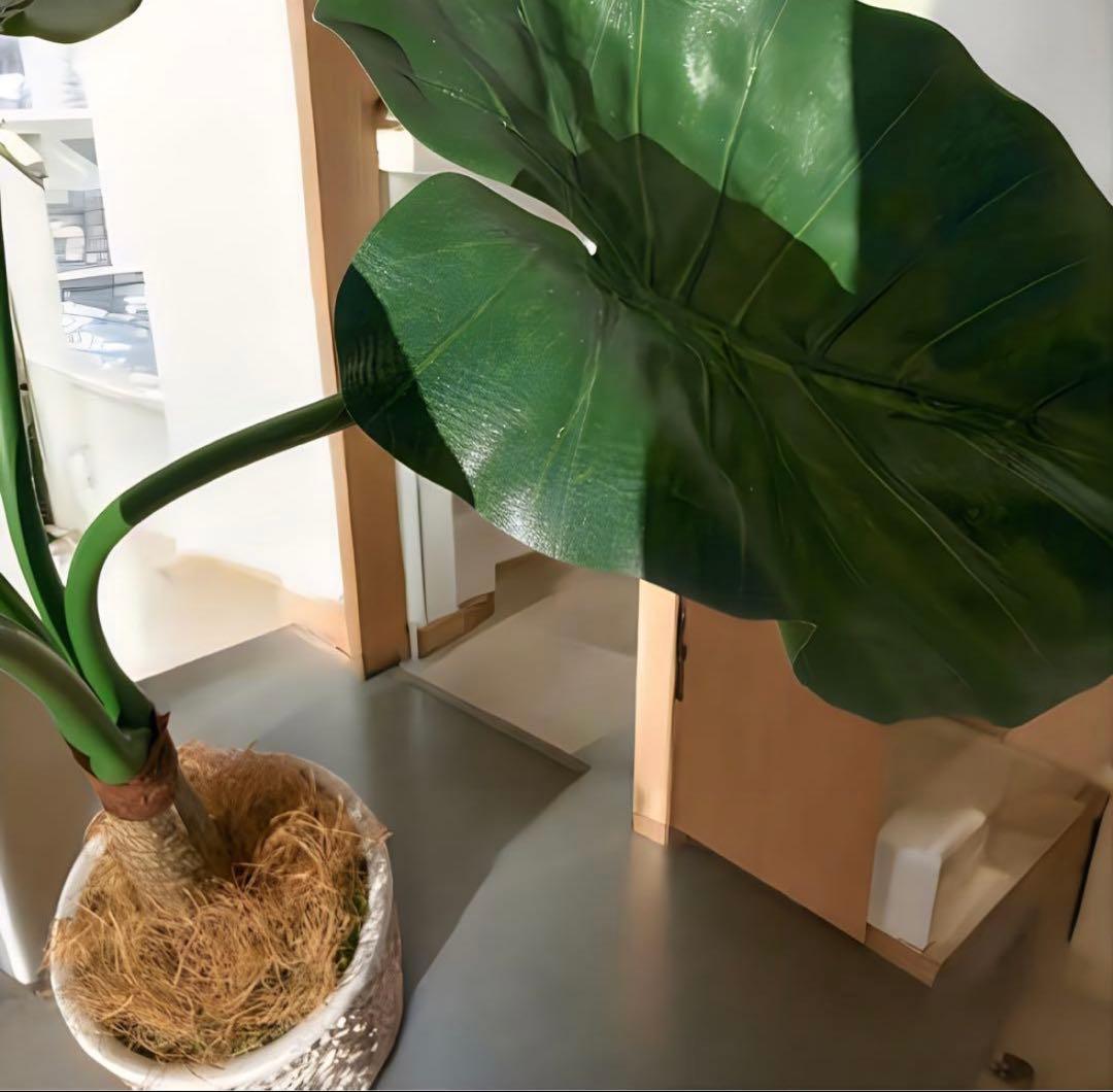 光触媒　人工観葉植物　ウォールグリーン　フェイクグリーン　クワズイモ7758