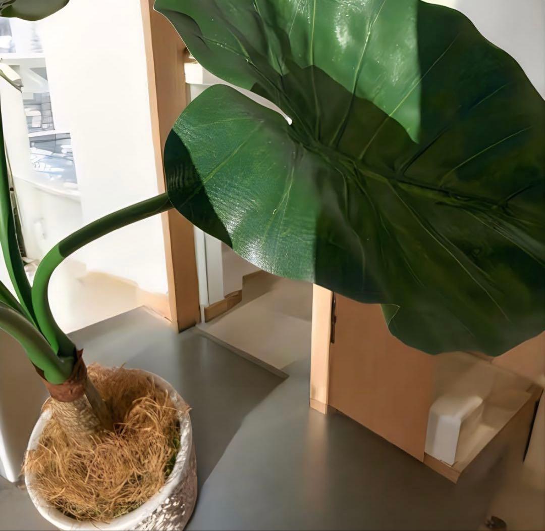 光触媒　人工観葉植物　ウォールグリーン　フェイクグリーン　クワズイモ7758
