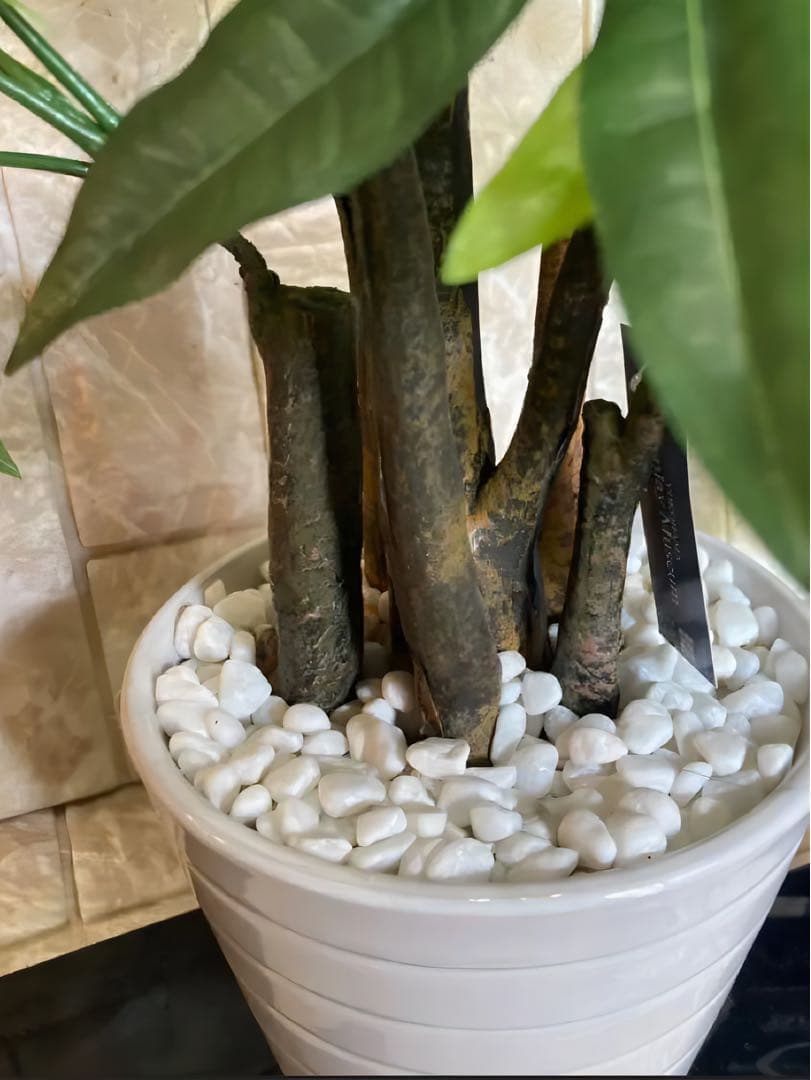 光触媒　人工観葉植物　ウォールグリーン　フェイクグリーン　パキラポット55