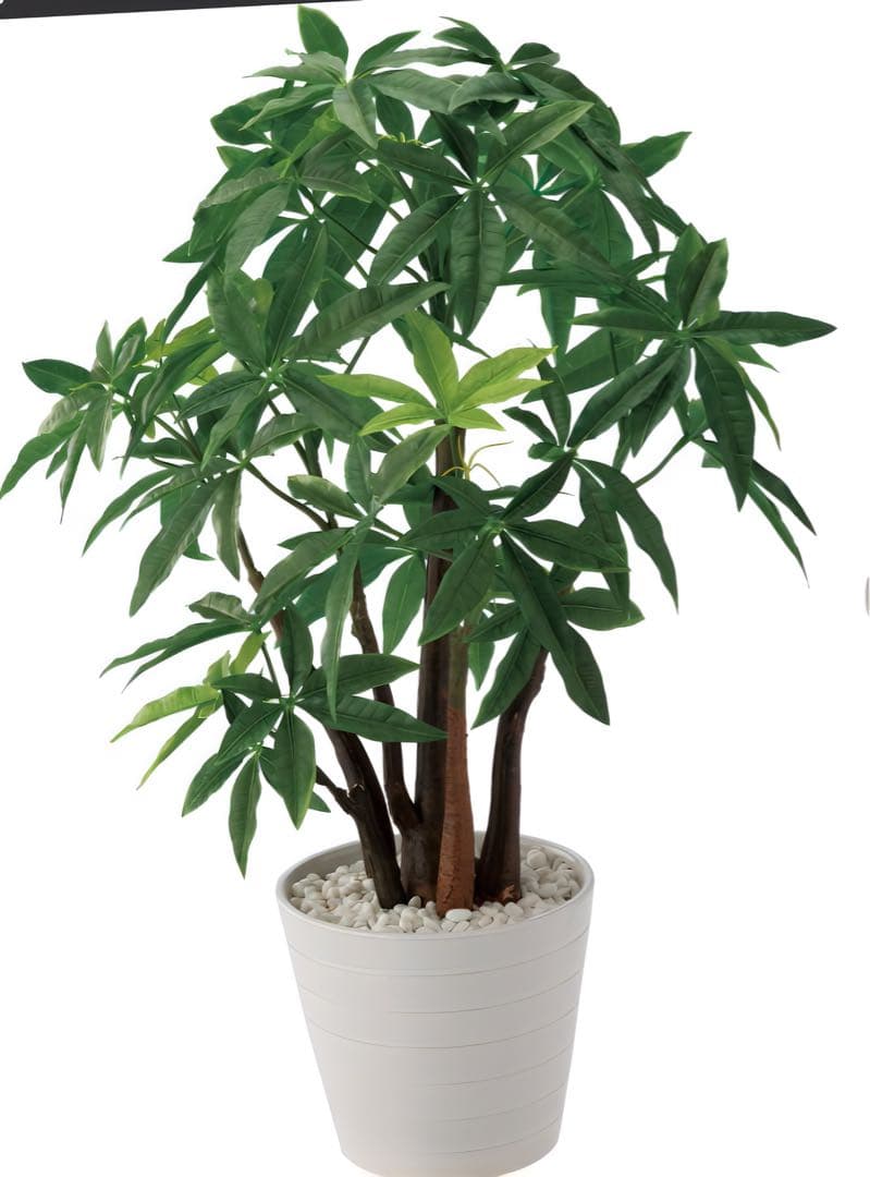光触媒　人工観葉植物　ウォールグリーン　フェイクグリーン　パキラポット55
