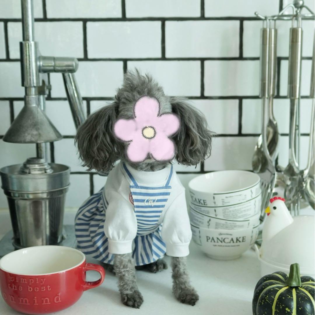 アトリエgg リトルシェフ （ストライプのエプロン）