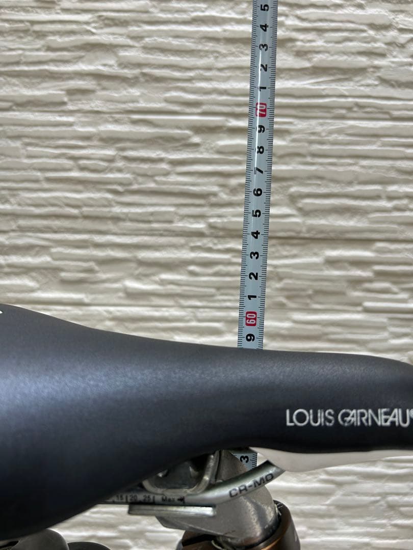 キッズ用自転車 ルイガノ（22インチ）