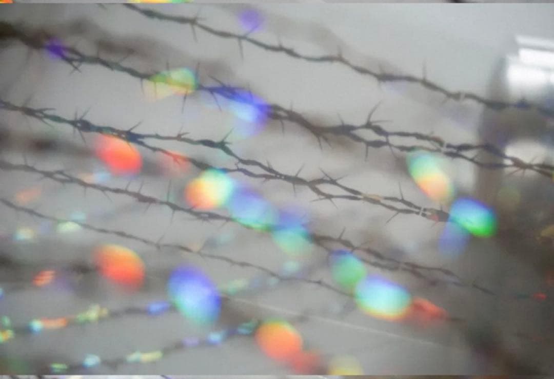 贝壳银 铁刺2 5m 海外マスキングテープ