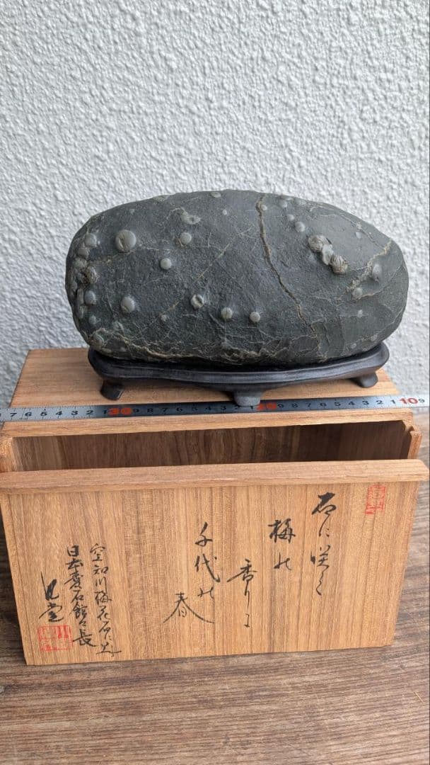 北海道 空知川 梅花石 銘 和音 一雨会師範 園藤雨園翁遺愛石