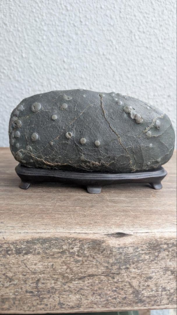 北海道 空知川 梅花石 銘 和音 一雨会師範 園藤雨園翁遺愛石