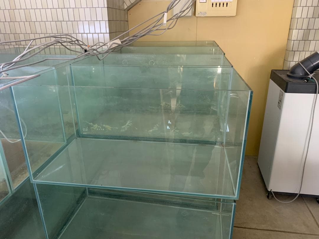 ガラス水槽 使用済品 中古 汚れあり 引き取り限定(埼玉)