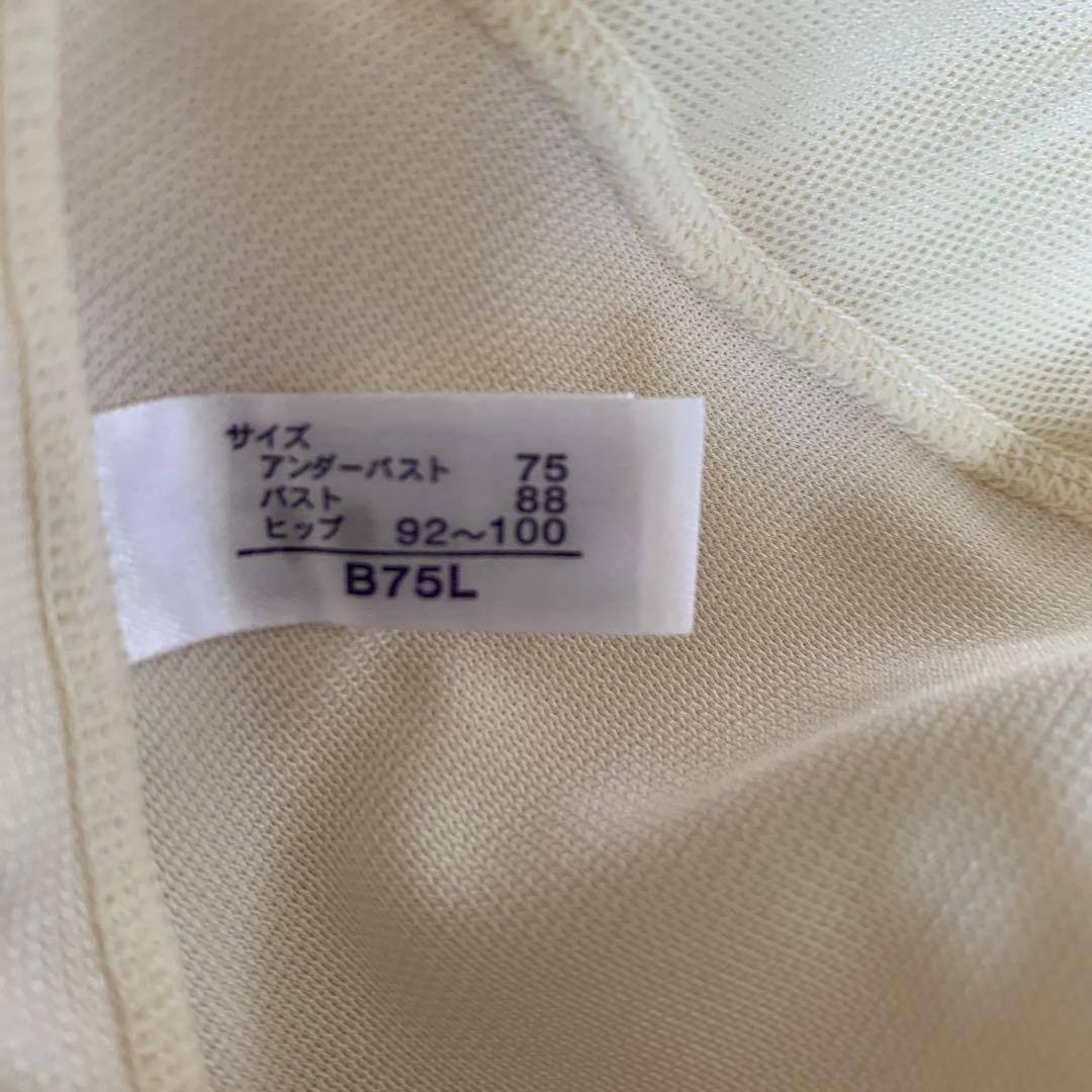 fru マルコ　カーヴィシャス　パルフィネホワイトB75L