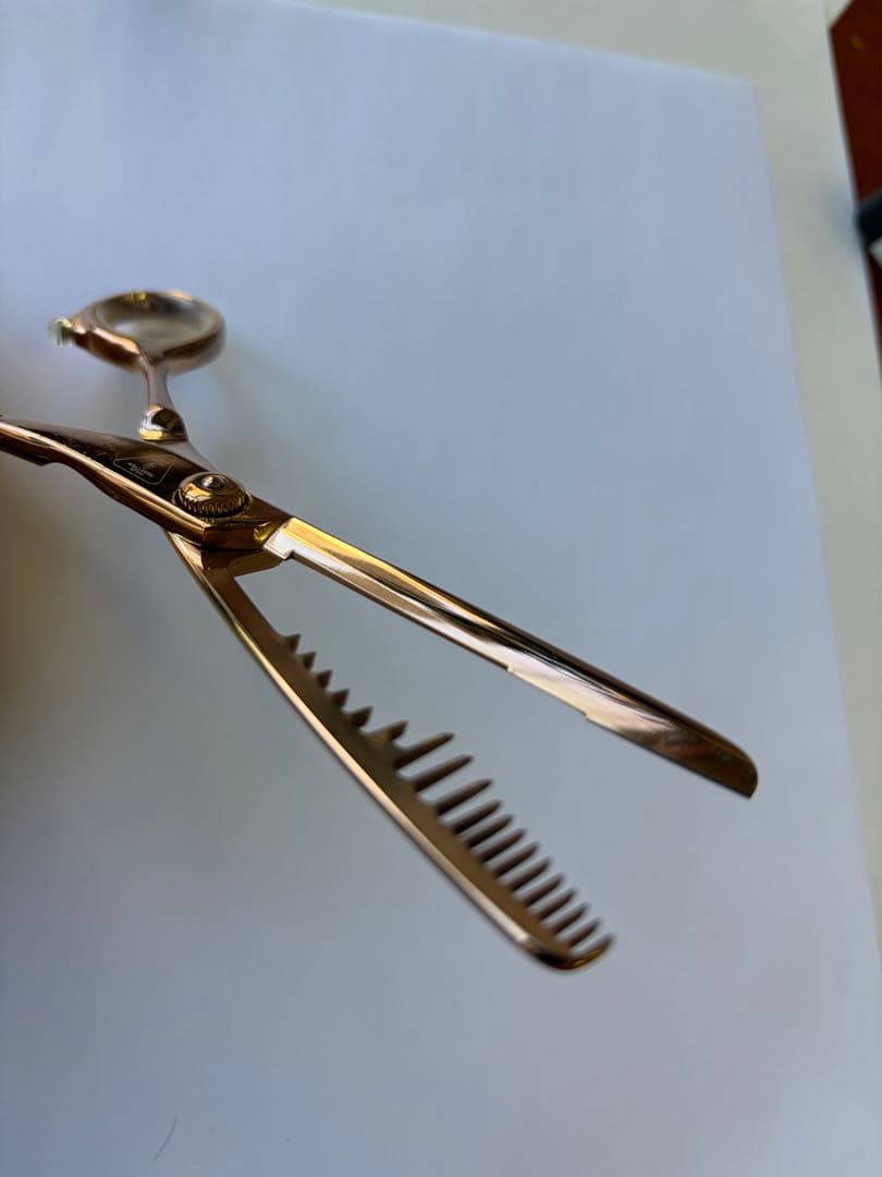 ヘアリセッター　トラインボーン　アルミケース付き