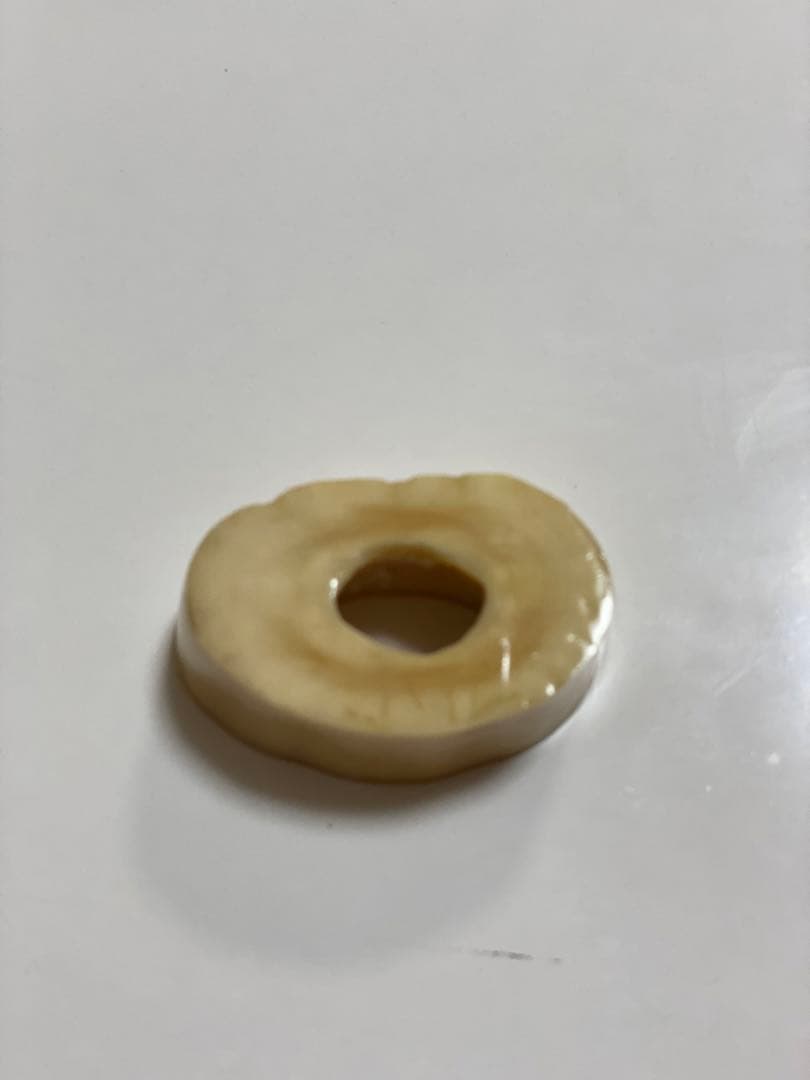 ウニコール　一角鯨牙　送料無料