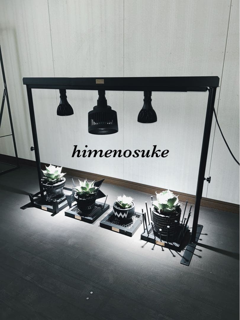 ☆送料込み☆ライトレールスタンド0.5m 即購入OK 植物育成　アガベ　塊根