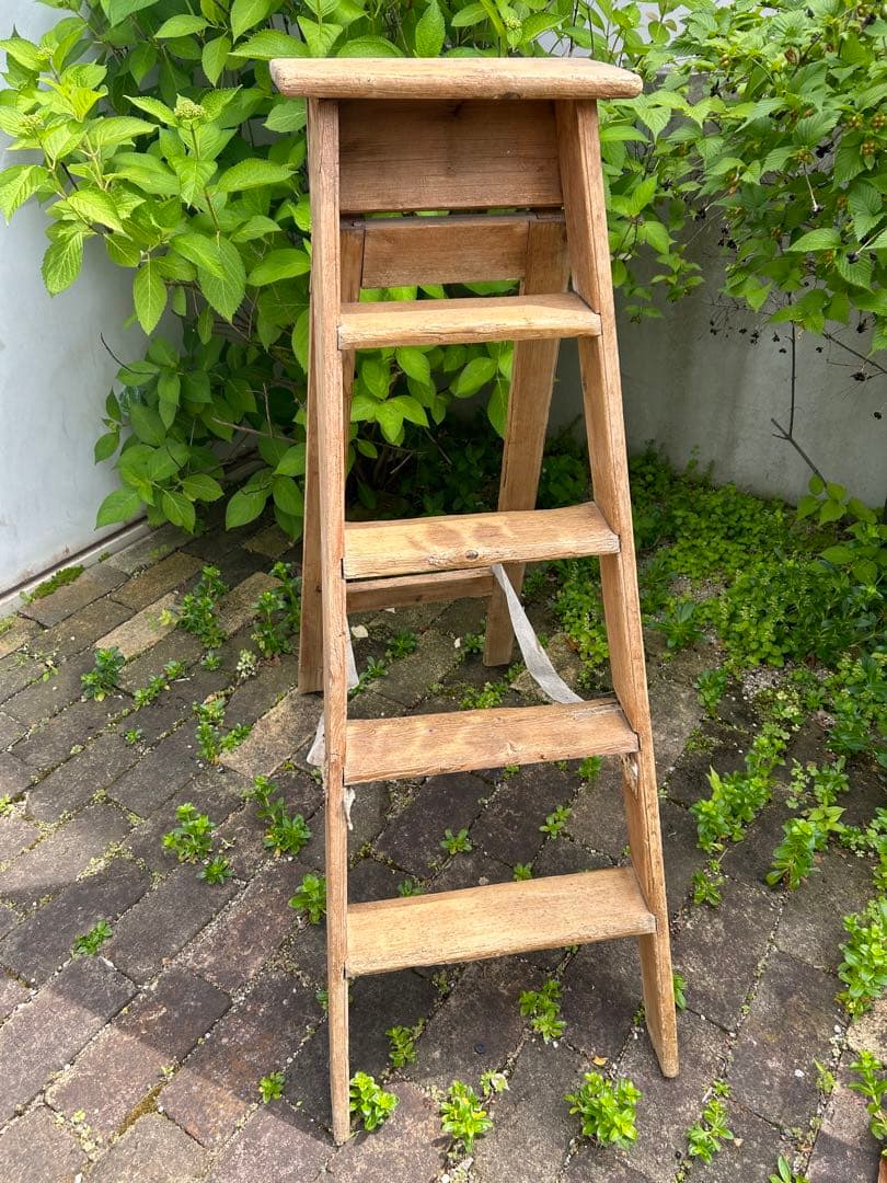 ヴィンテージラダー