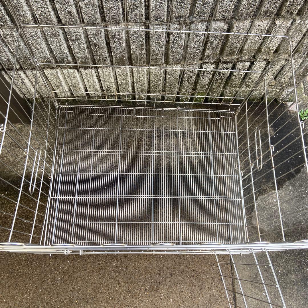 ターコイズブルー