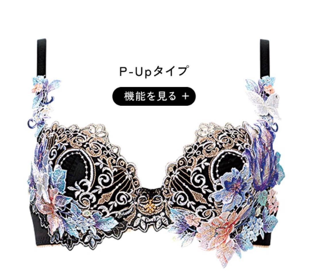 【E70M】【限定】ワコール　サルート　19G ブラショーツ BL 新品未使用