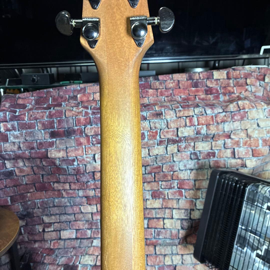 シャーベルエレキギターDS-1