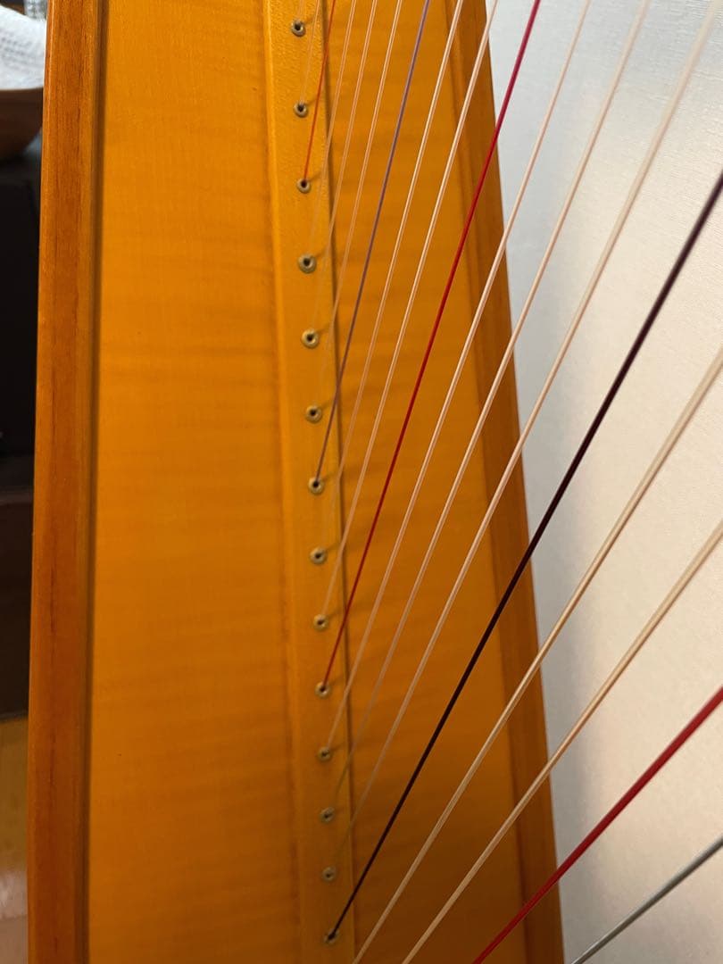 弦楽器 Aoyama Harp The 130N