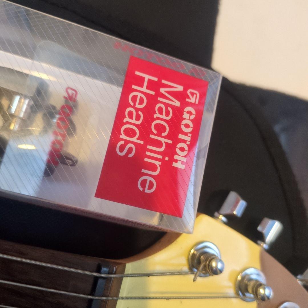 zo-3 限定　希少　カラー　キリン