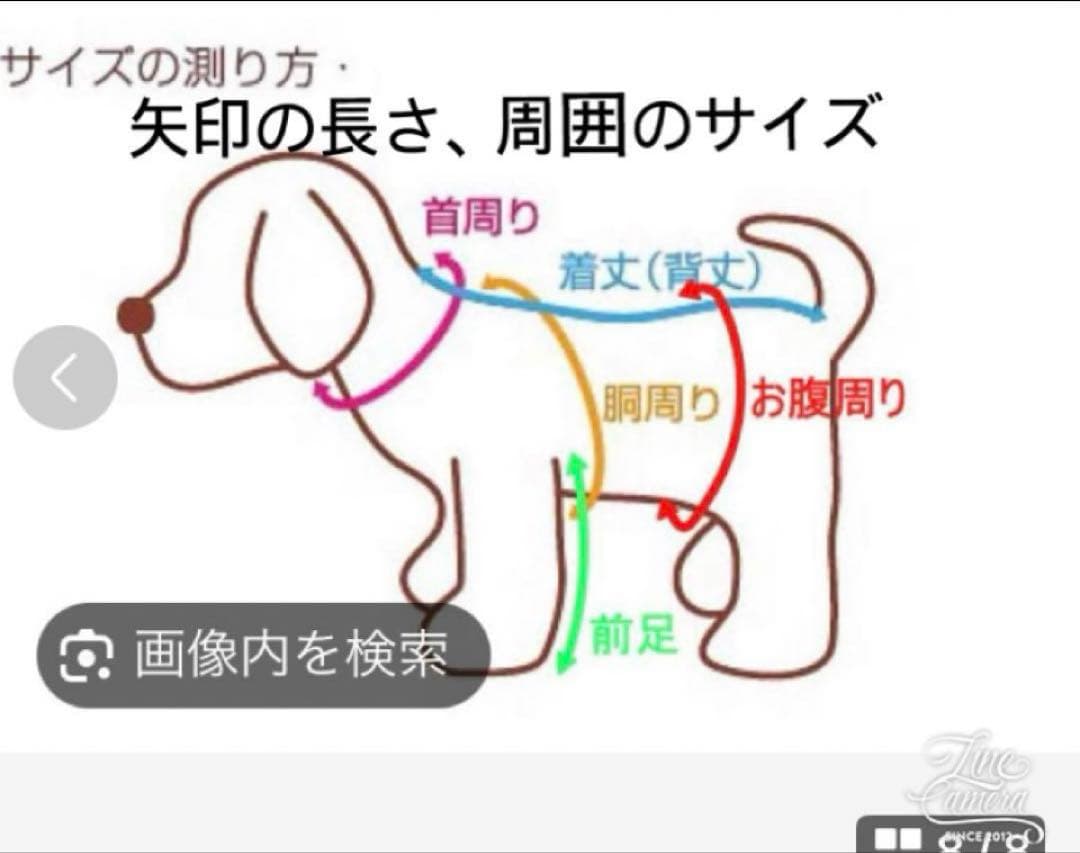 B454.pon2pan2☆犬オーダーお着物☆犬お着物