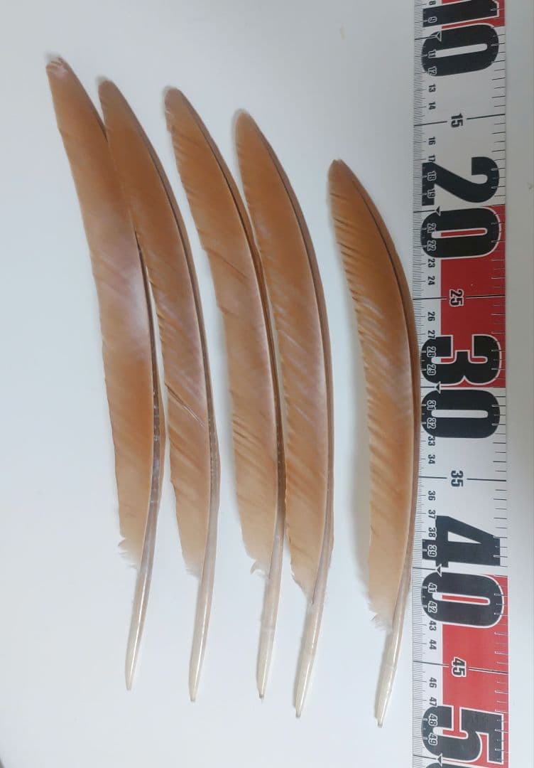 メル94348様 リクエスト 2点 まとめ商品