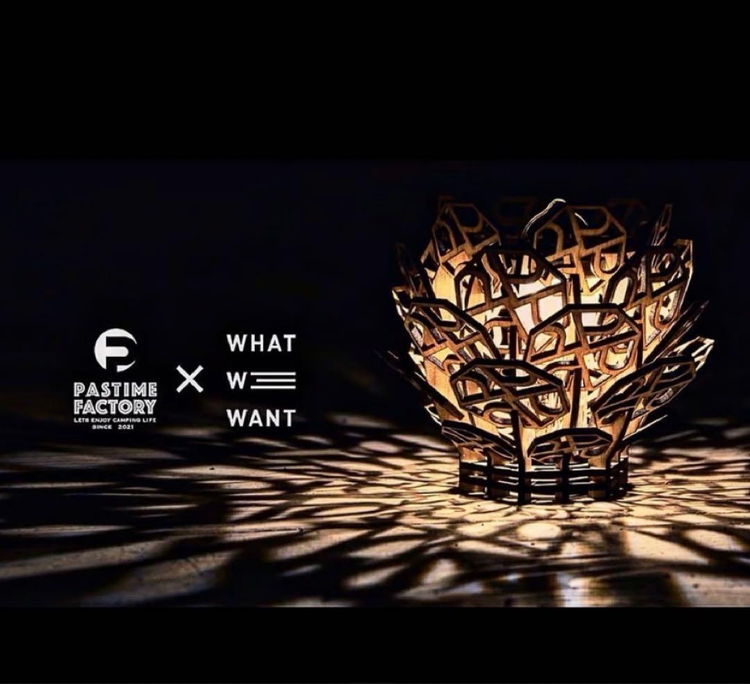 悪魔の実シリーズ　ピコピコの実