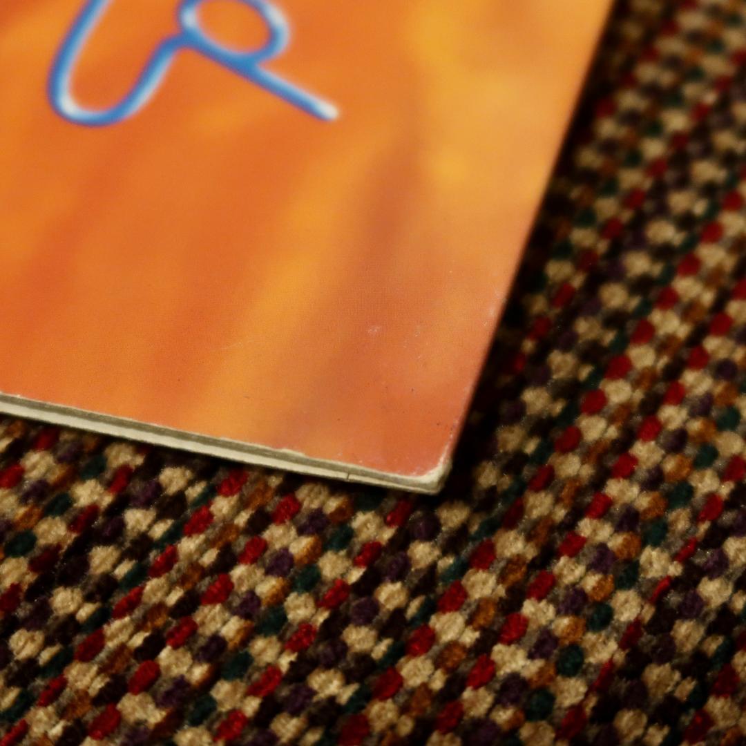 Hi-Standard / GROWING UP LP レコード 限定盤