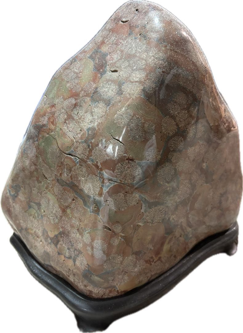 鑑賞用の石・室内飾り『白山紋石や飛騨の菊紋石』約9.7kg