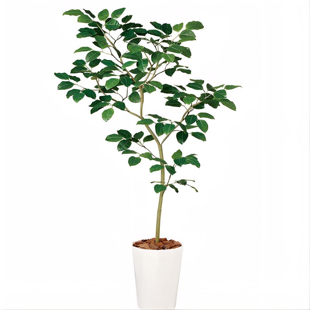 光触媒　人工観葉植物　ウォールグリーン　フェイクグリーン　ベンガルボタイジュ