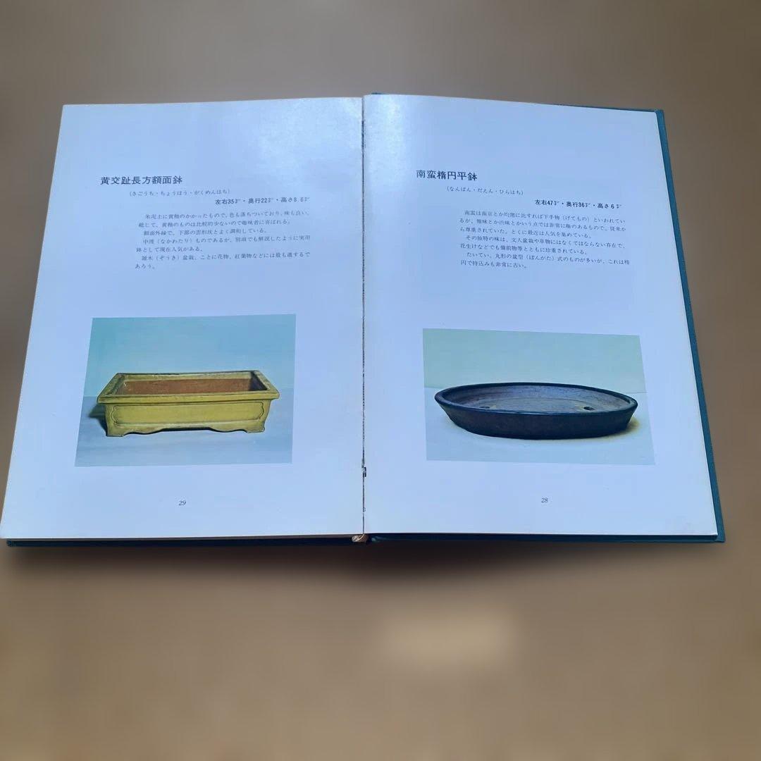 盆栽鉢と水盤