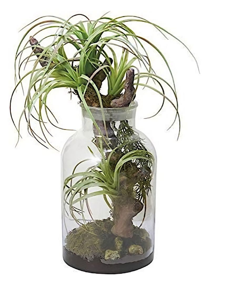 光触媒　人工観葉植物　ウォールグリーン　フェイクグリーン　ボタニカルチランジア